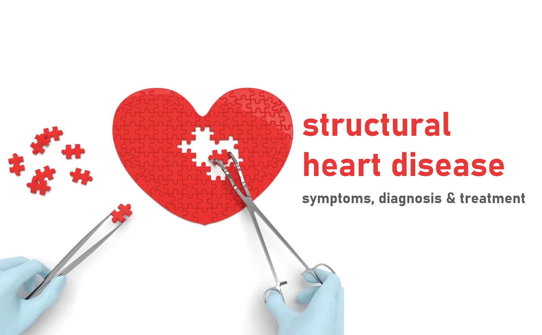 what-is-structural-heart-youtube